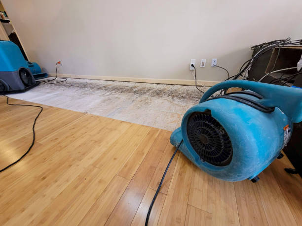 Professional Basement Flood Cleanup technician working in Metaline, WA